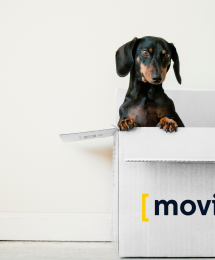 erda-estremera-sxNt9g77PE0-unsplash